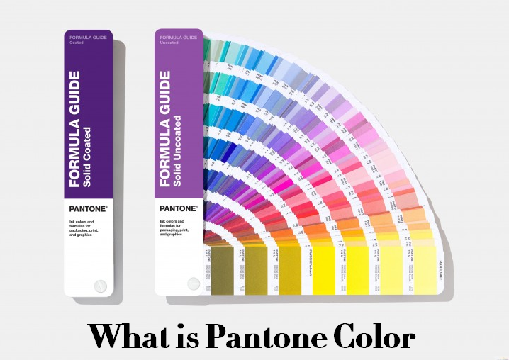 How To Check Pantone Color In Pdf Infoupdate